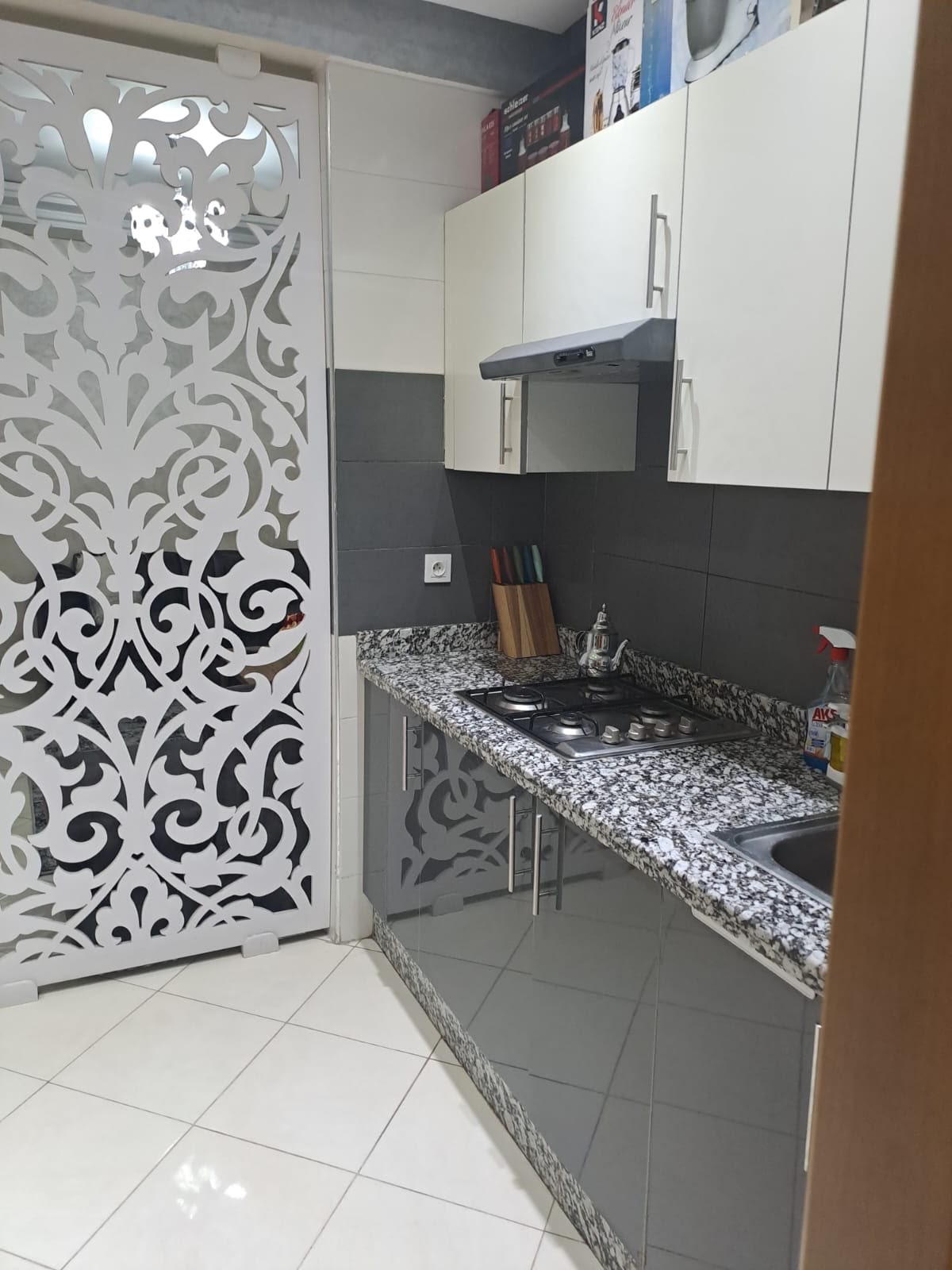 Furnished Apartment in the Heart of Downtown - Thumbnail 2